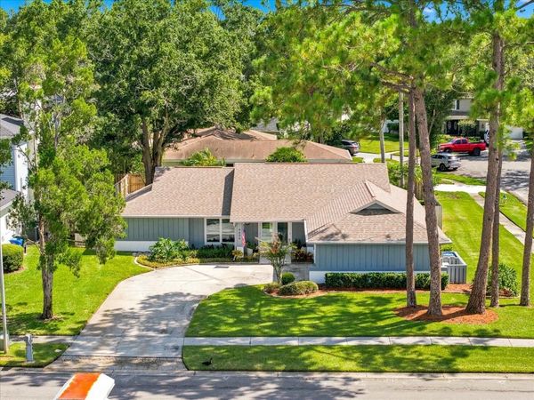 4606 LAVER COURT , TAMPA, FL 33624