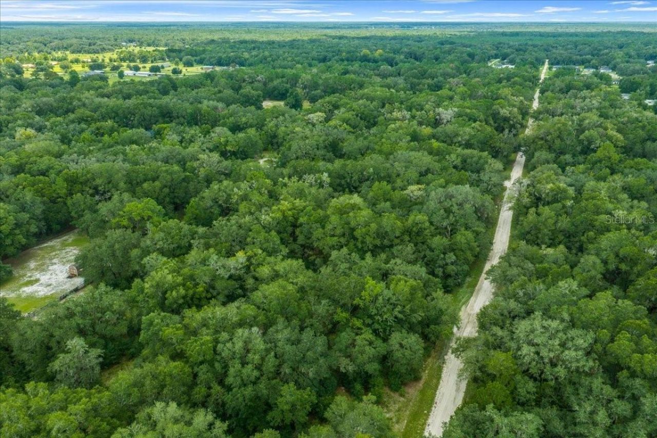 Tbd SW 131st Terrace, Dunnellon, FL 34432 Photo