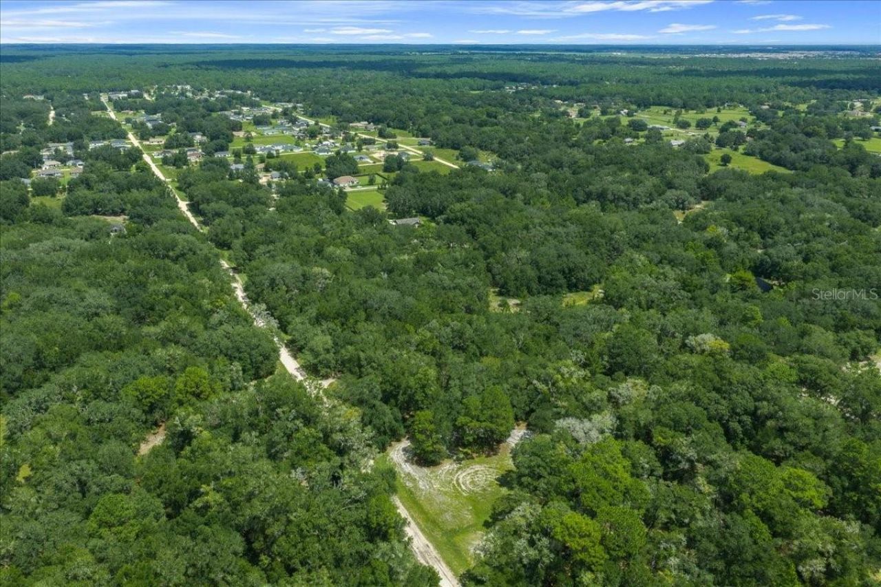 Tbd SW 131st Terrace, Dunnellon, FL 34432 Photo