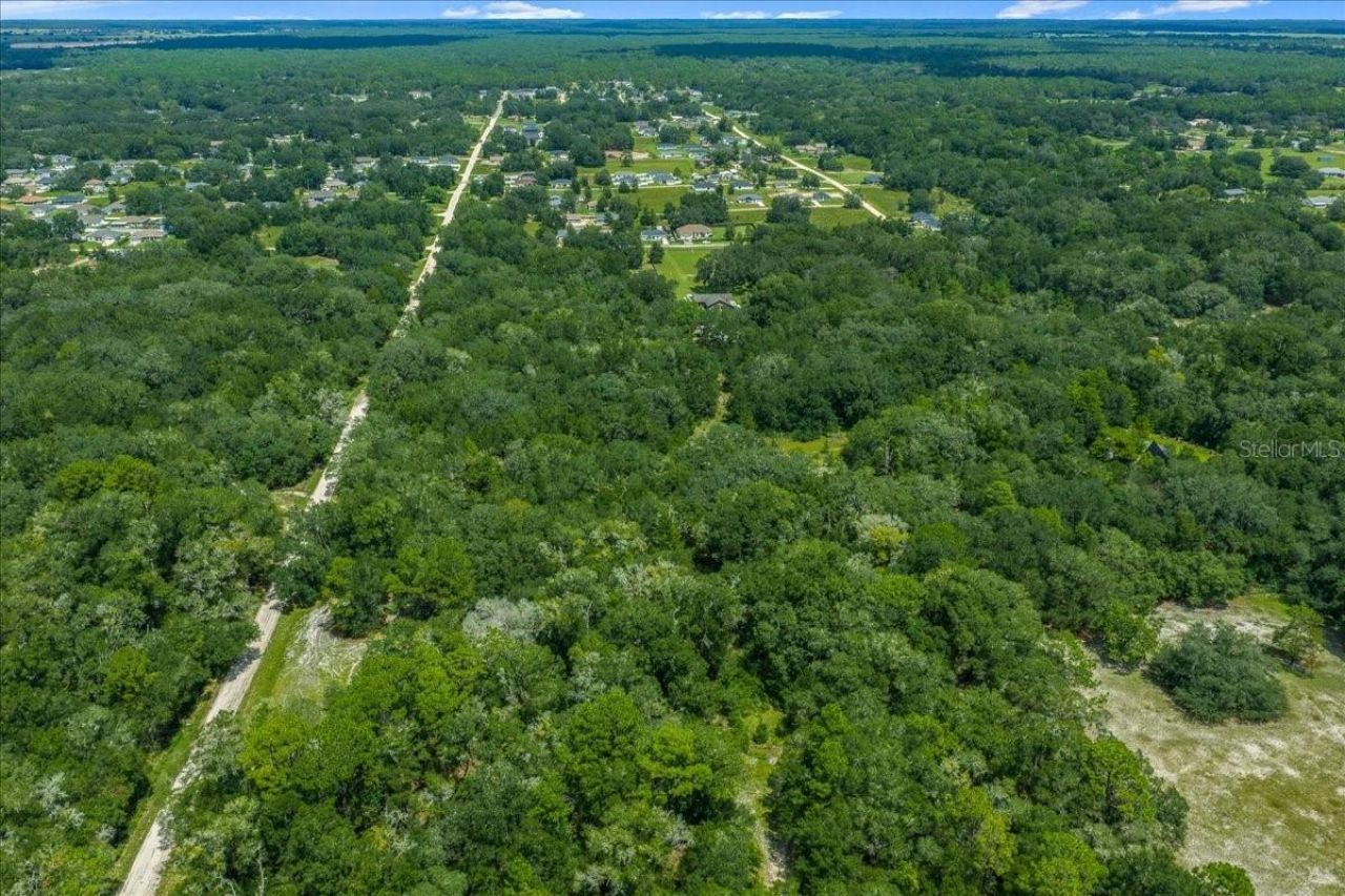 Tbd SW 131st Terrace, Dunnellon, FL 34432 Photo