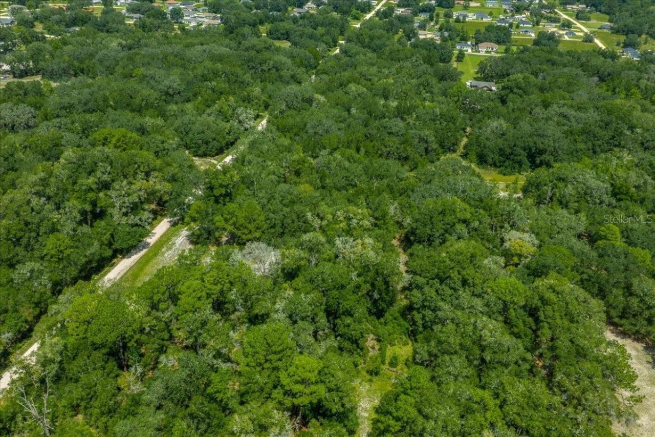 Tbd SW 131st Terrace, Dunnellon, FL 34432 Photo