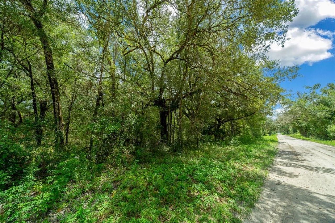 Tbd SW 131st Terrace, Dunnellon, FL 34432 Photo