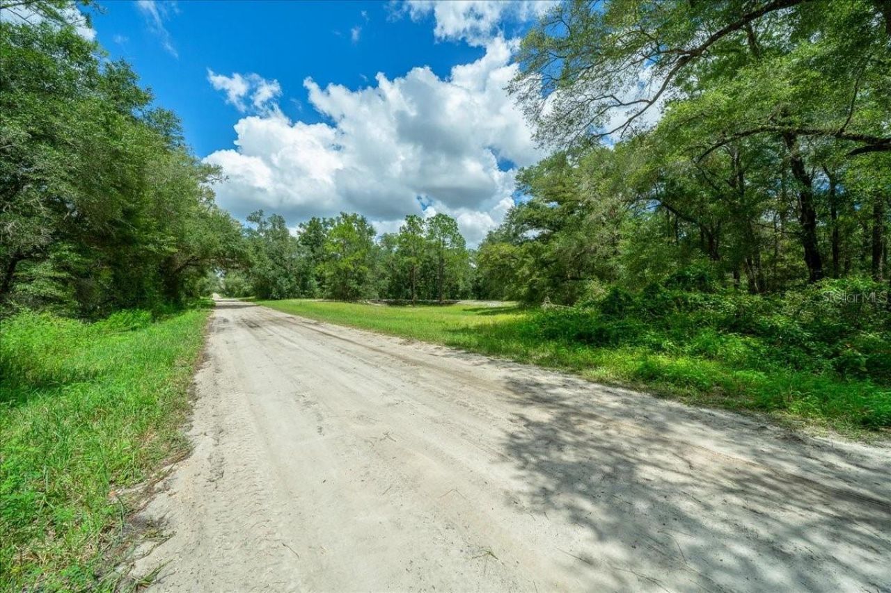 Tbd SW 131st Terrace, Dunnellon, FL 34432 Photo