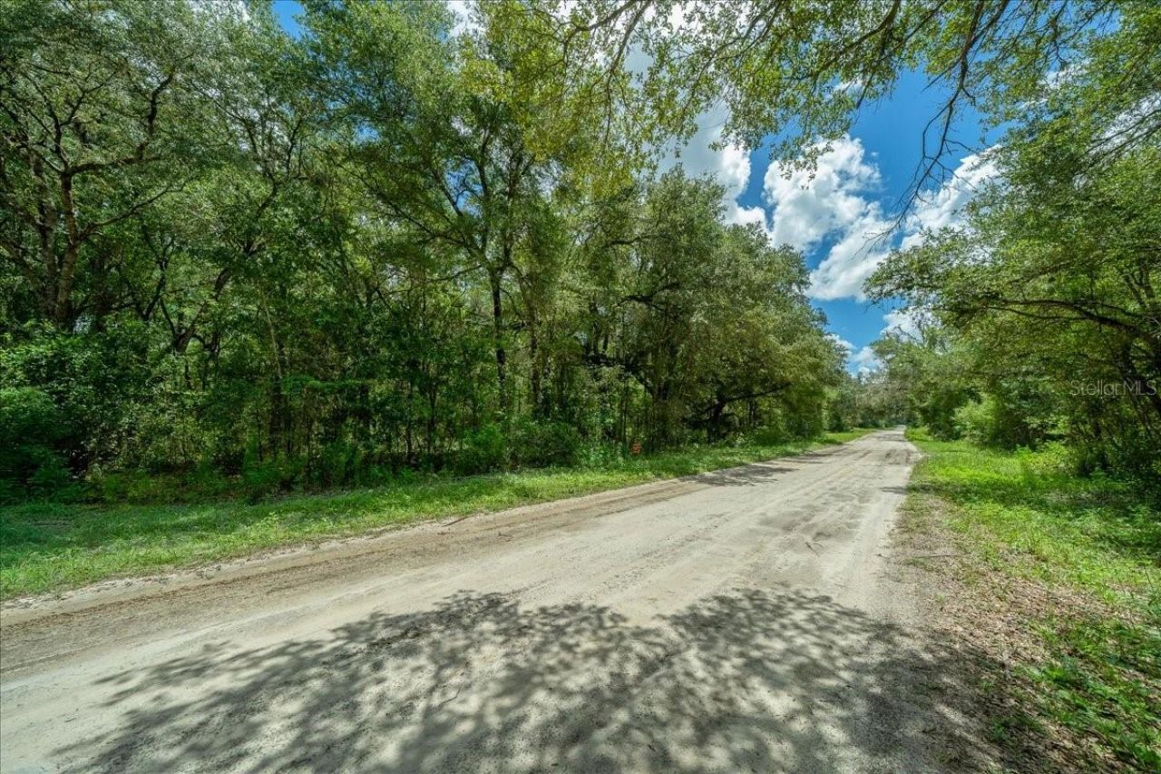 Tbd SW 131st Terrace, Dunnellon, FL 34432 Photo