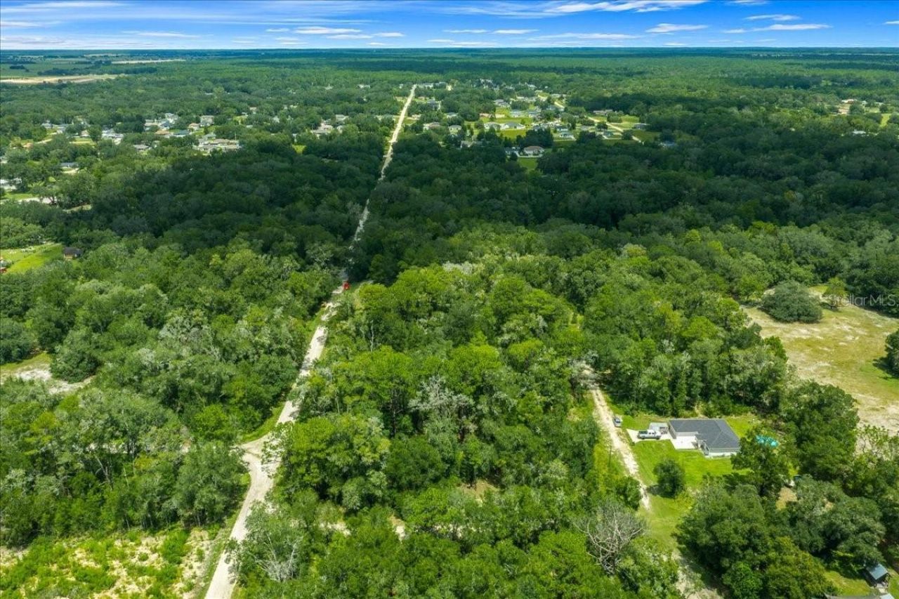 Tbd SW 131st Terrace, Dunnellon, FL 34432 Photo
