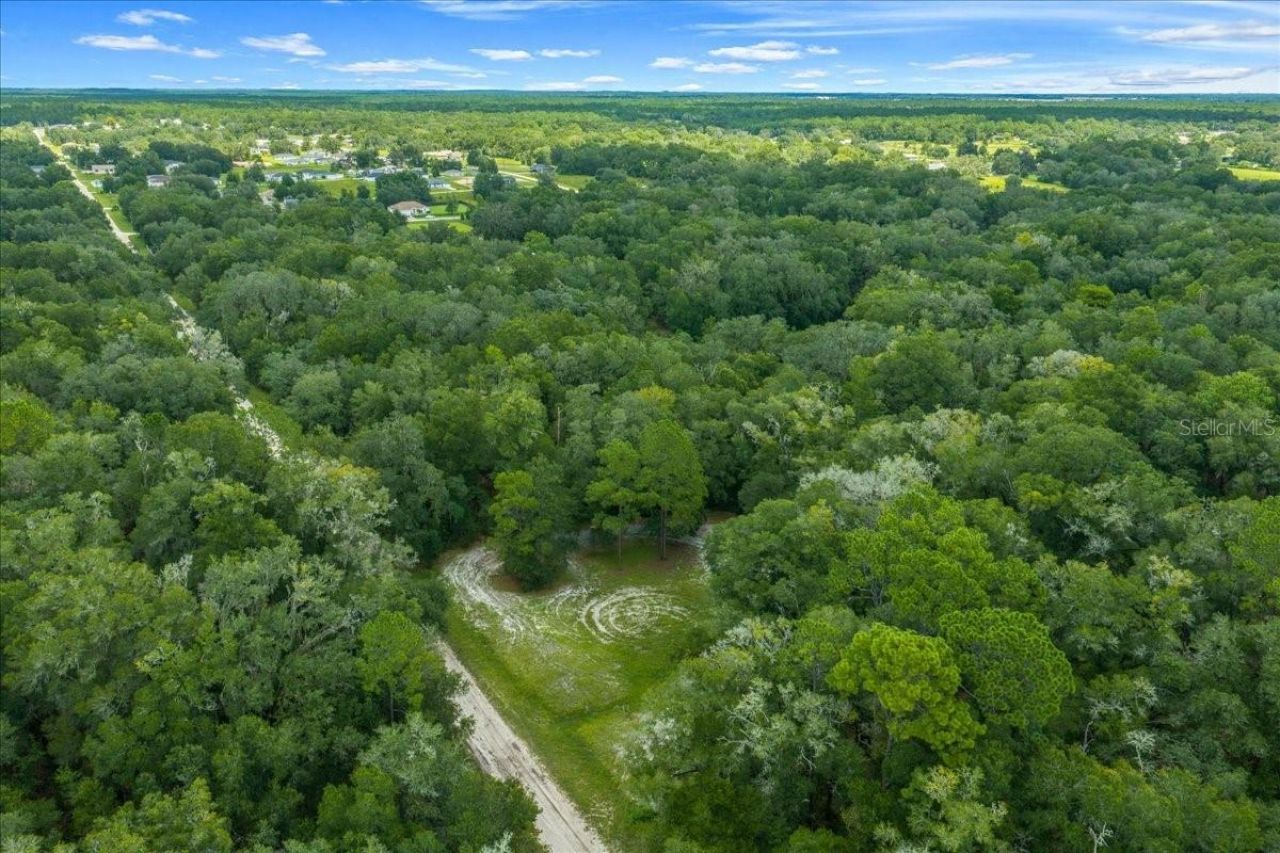 Tbd SW 131st Terrace, Dunnellon, FL 34432 Photo
