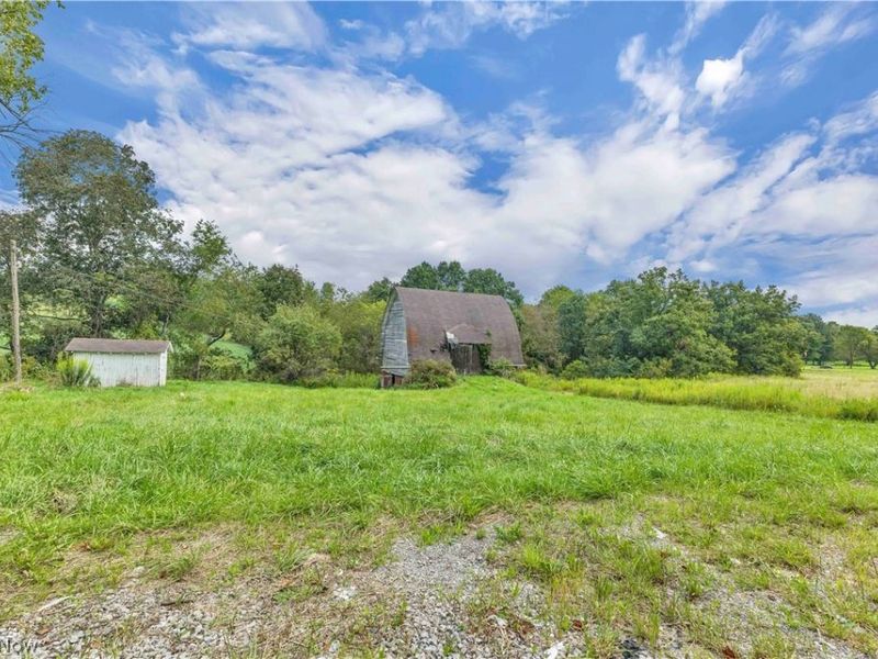 41286 State Route 39, Wellsville, OH 43968 Photo 26