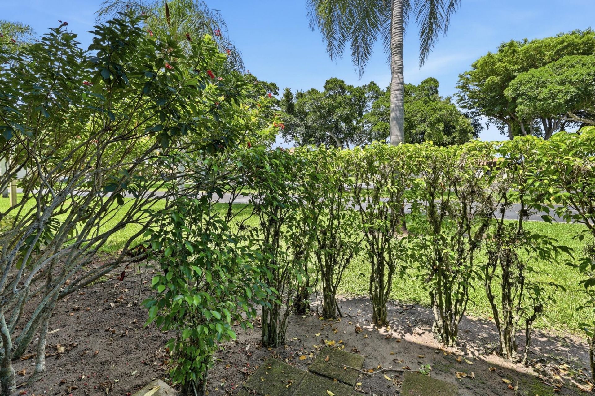 5710 Princess Palm Court, Unit B, Delray Beach, FL 33484 Photo