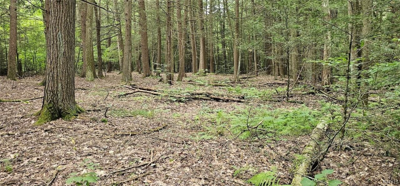 Union Hill Road, Candor, NY 13743 Main Photo