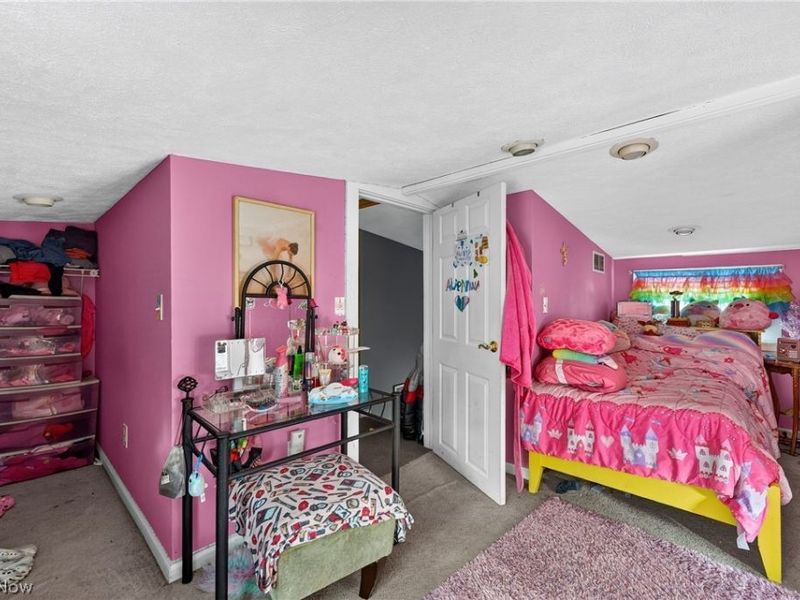 3525 W 49th Street, Cleveland, OH 44102 Photo 27