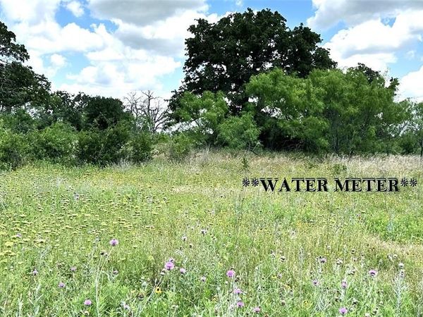 TBD 17 County Road 295 , Carbon, TX 76435