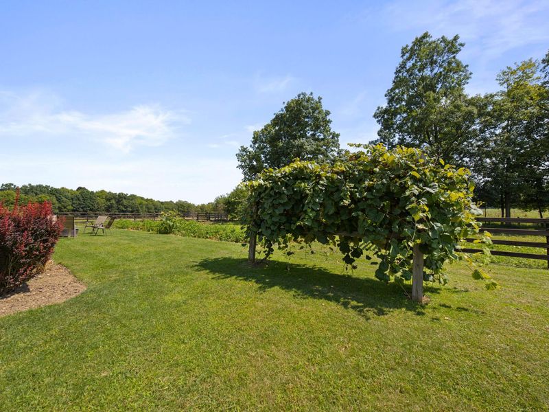 27261 Newcastle Road, Gambier, OH 43022 Photo 60