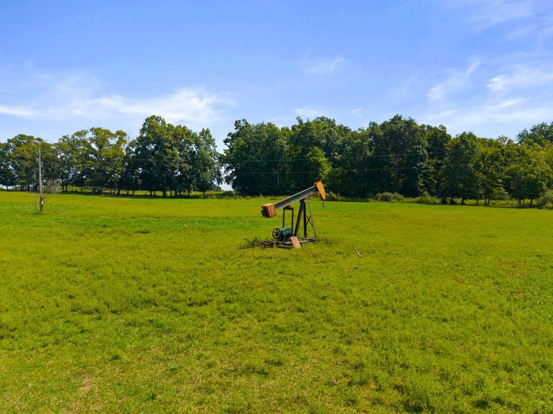 27261 Newcastle Road, Gambier, OH 43022 Photo 99