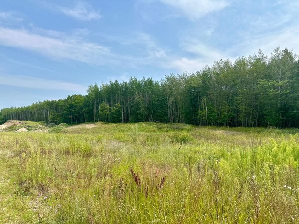 TBD-Lot 8 E Ottertail Road NW, Walker, MN 56484