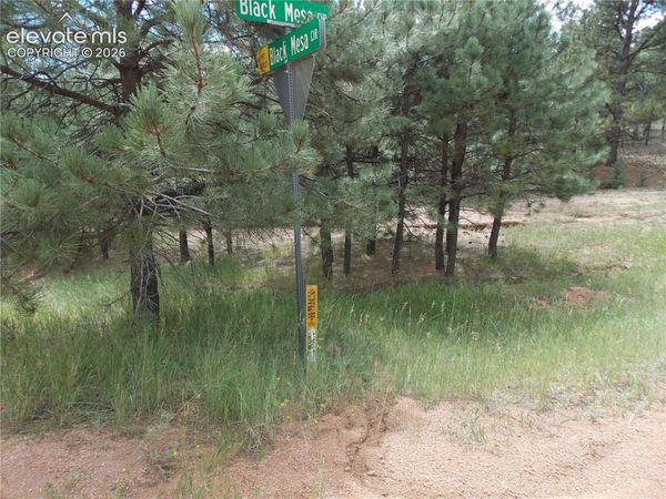 738 Black Mesa Circle, Florissant, CO 80816
