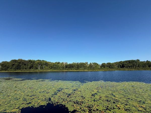 76617 Debbie Ridge Road , Willow River, MN 55795