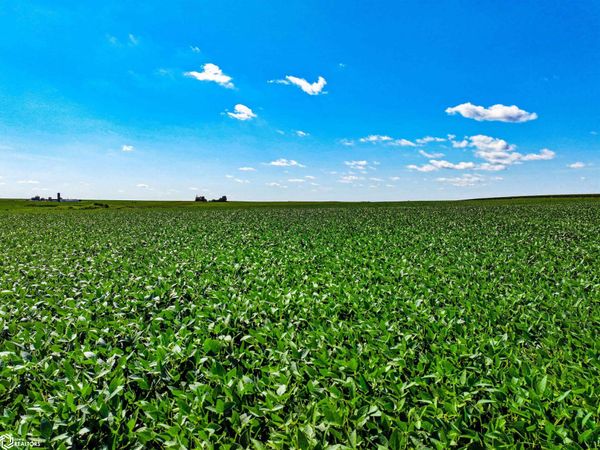 P Avenue, Maynard, IA 50655