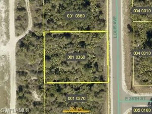 2801 Louis AVE , ALVA, FL 33920