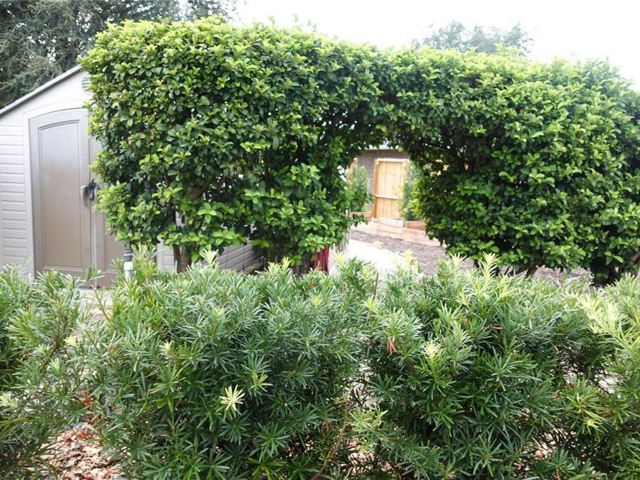 Property Image 47