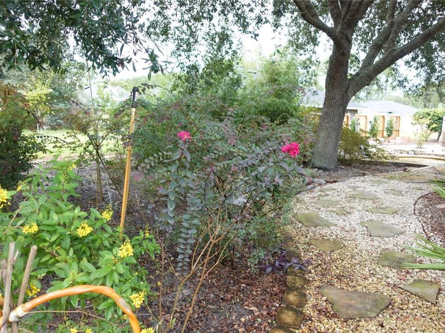Property Image 53