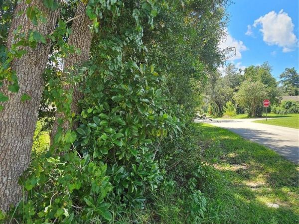18TH STREET , ORANGE CITY, FL 32763