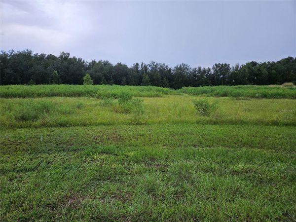 8801 VALERIE COURT , ZEPHYRHILLS, FL 33540