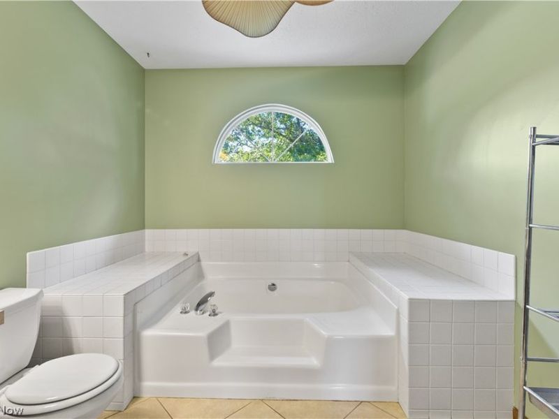 6854 Chablis Court, Mentor, OH 44060 Photo 32