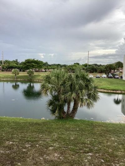 8300 Sunrise Lakes Boulevard, Unit 206, Sunrise, FL 33322 Photo