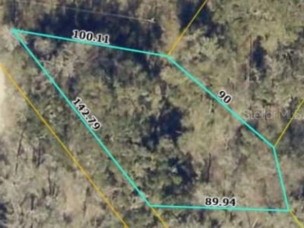 TBD1 SW 129TH BOULEVARD , WEBSTER, FL 33597