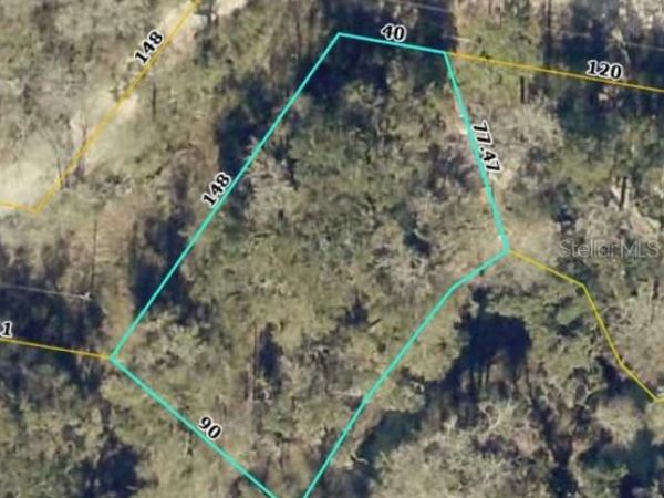 TBD2 SW 129TH BOULEVARD , WEBSTER, FL 33597