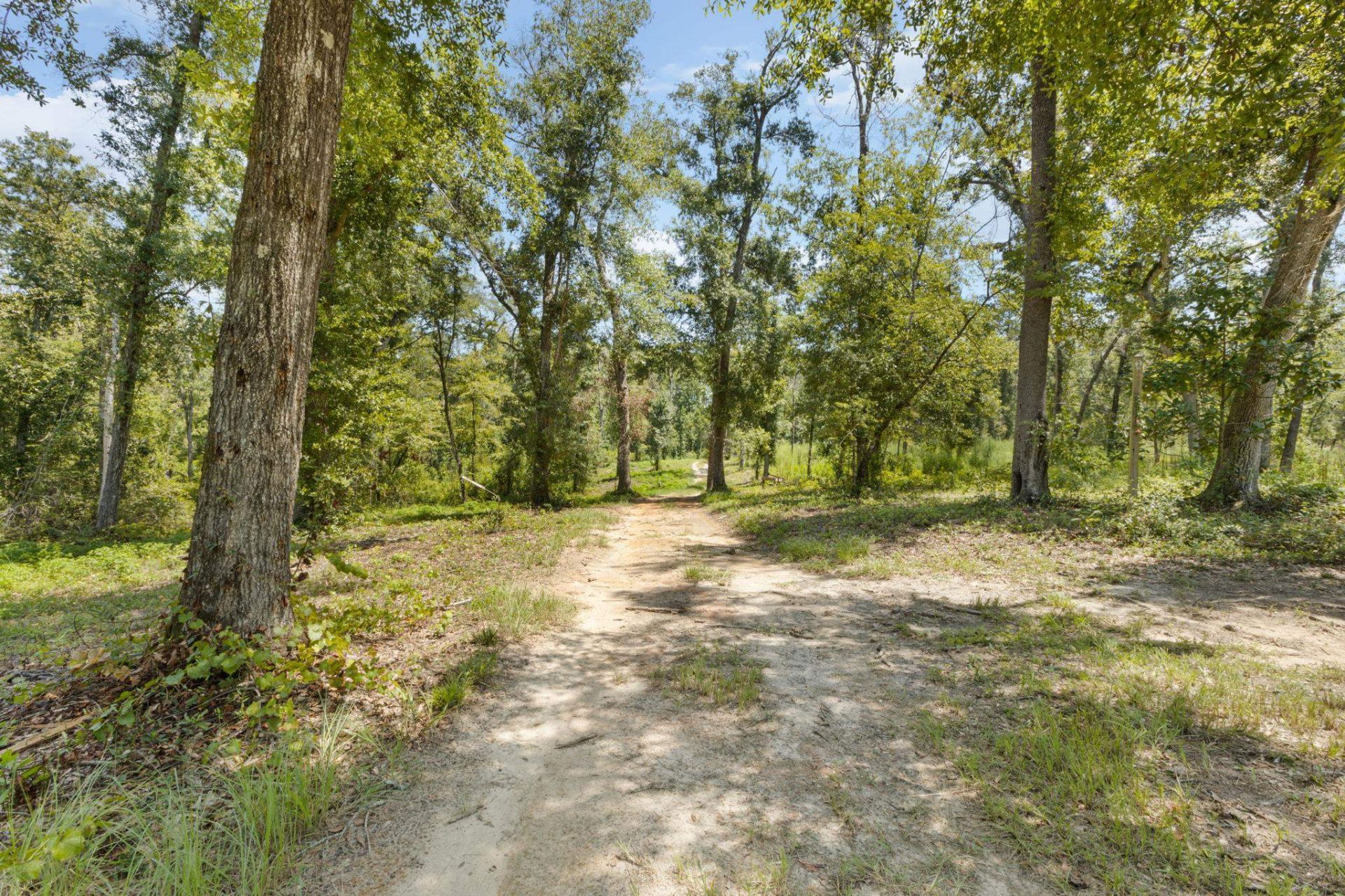 1897 NW Radford Denson Road , Greenville, FL 32331 Photo
