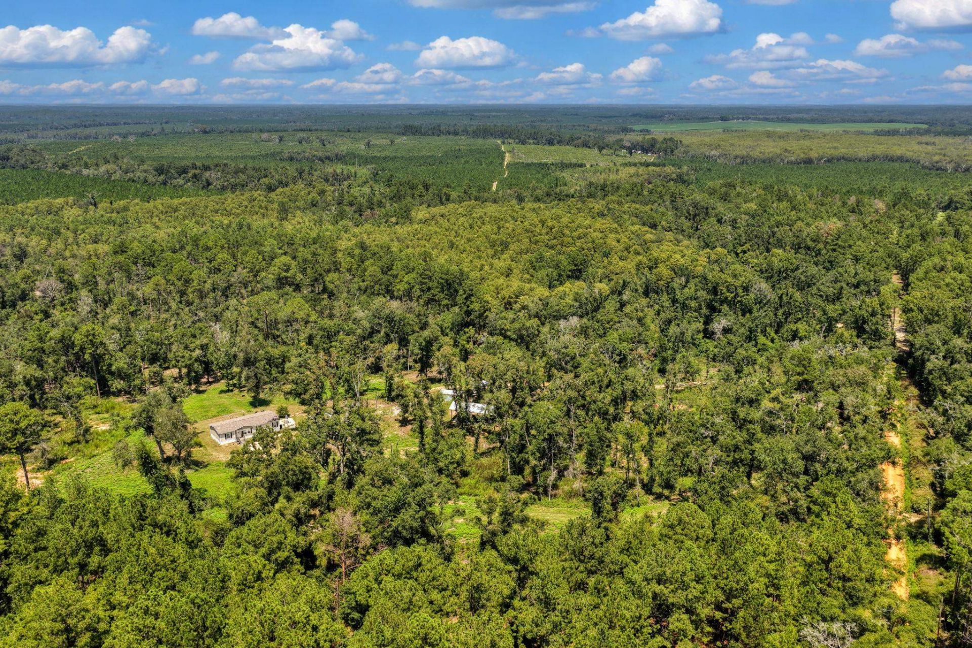 1897 NW Radford Denson Road , Greenville, FL 32331 Photo