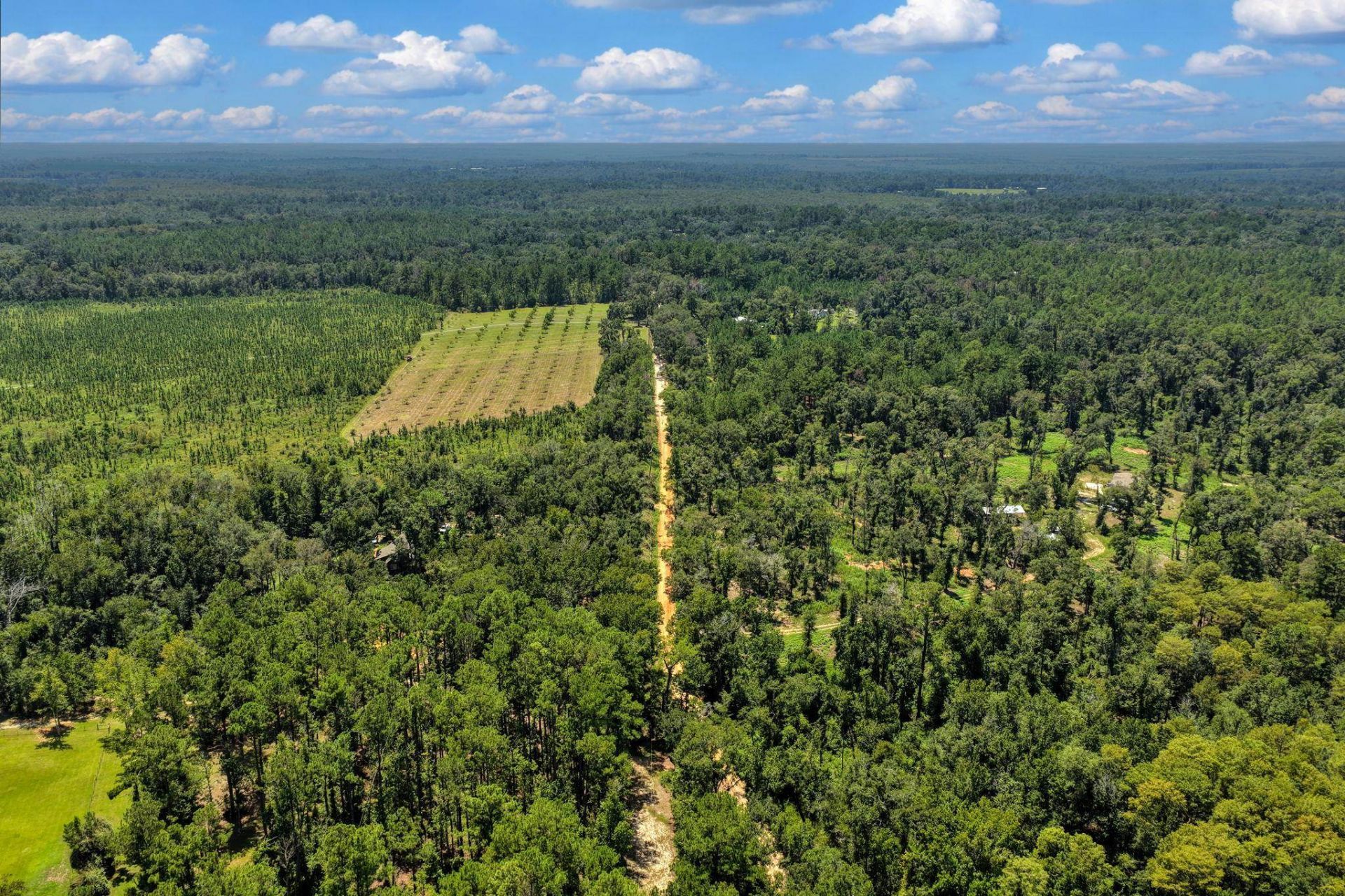 1897 NW Radford Denson Road , Greenville, FL 32331 Photo