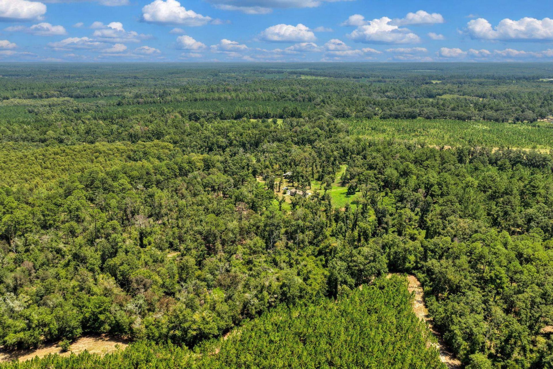 1897 NW Radford Denson Road , Greenville, FL 32331 Photo