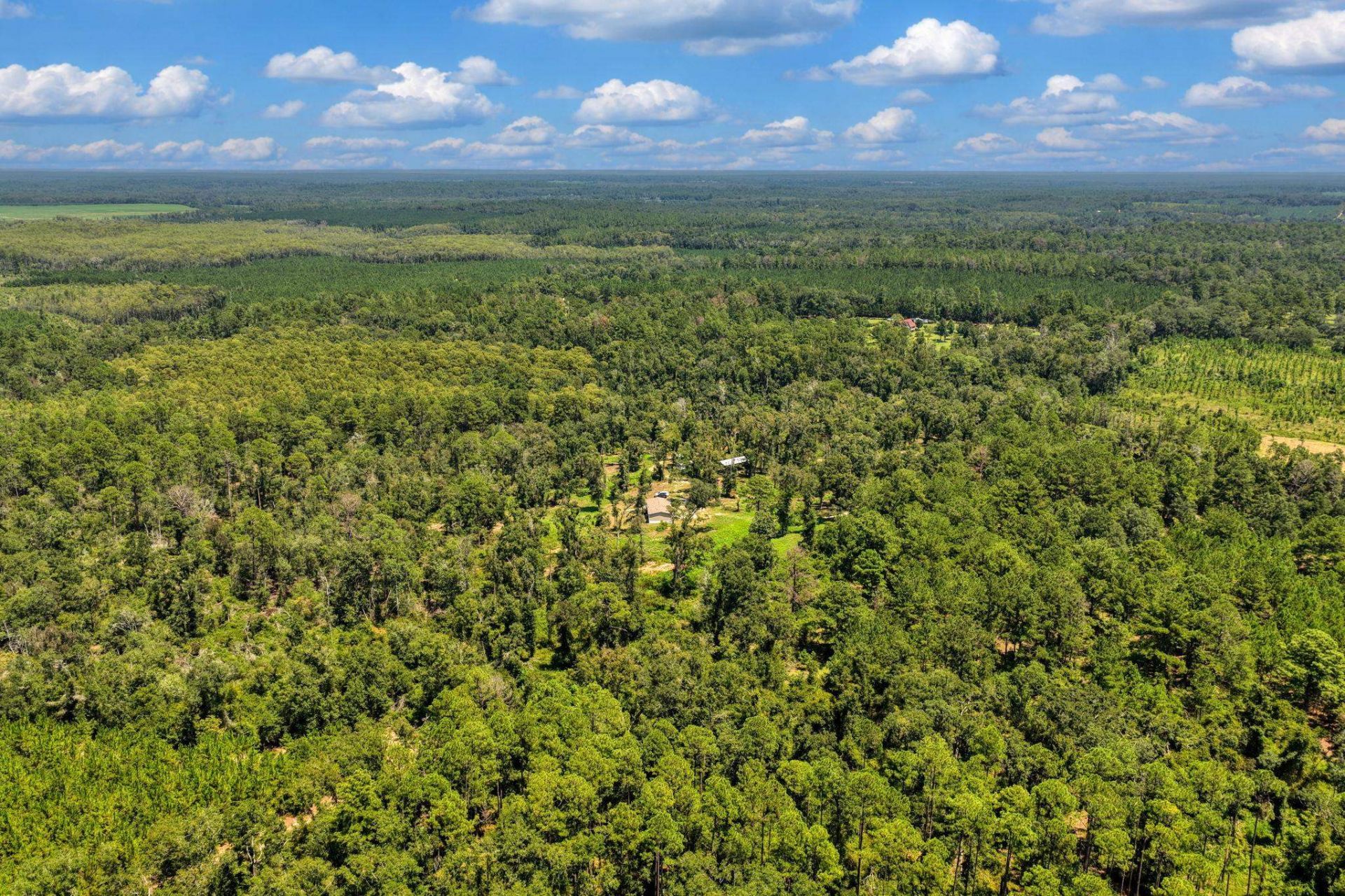 1897 NW Radford Denson Road , Greenville, FL 32331 Photo