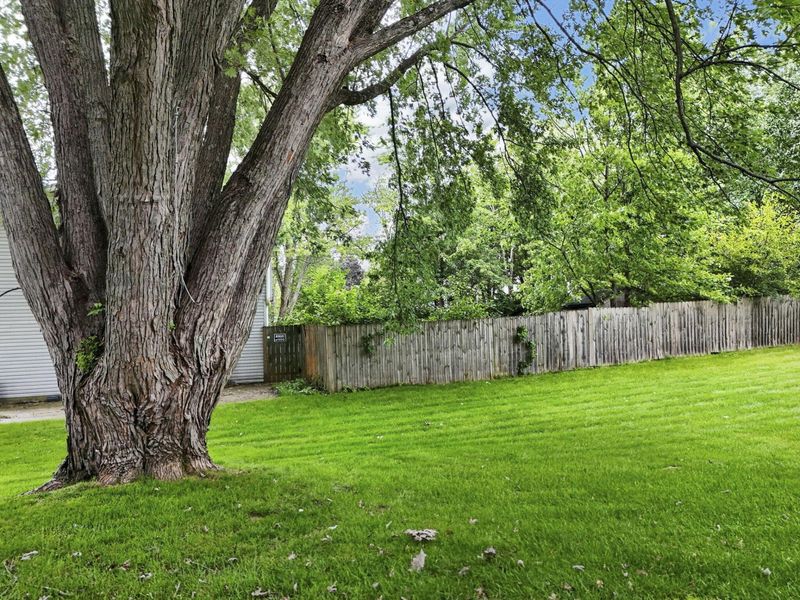 333 Dellfield Way, Gahanna, OH 43230 Photo 47