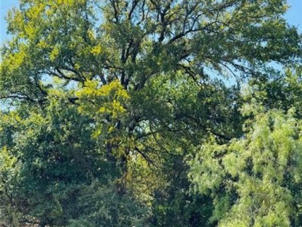 14057 Sandy Oaks Drive , Whitney, TX 76692