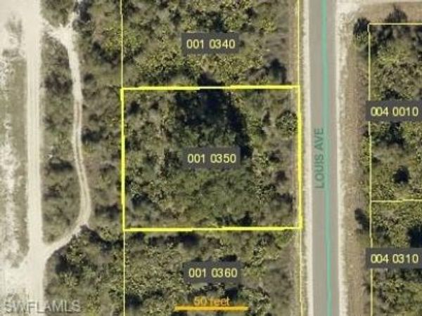 2803 Louis AVE , ALVA, FL 33920