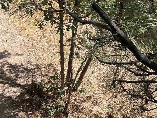 0 Robin, Arrowbear, CA 92382