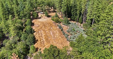 Old Donner Trl, Grass Valley, CA 95945 Photo