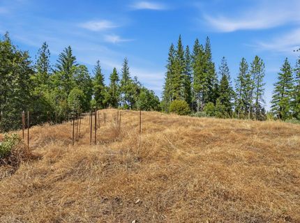 Old Donner Trl, Grass Valley, CA 95945 Photo