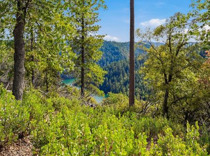 Old Donner Trl, Grass Valley, CA 95945 Photo