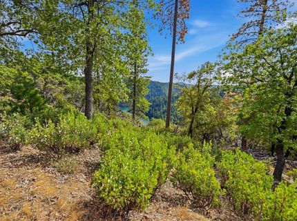 Old Donner Trl, Grass Valley, CA 95945 Photo