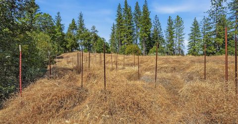 Old Donner Trl, Grass Valley, CA 95945 Photo