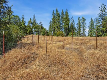 Old Donner Trl, Grass Valley, CA 95945 Photo