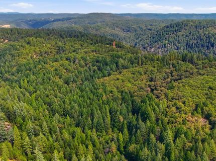 Old Donner Trl, Grass Valley, CA 95945 Photo