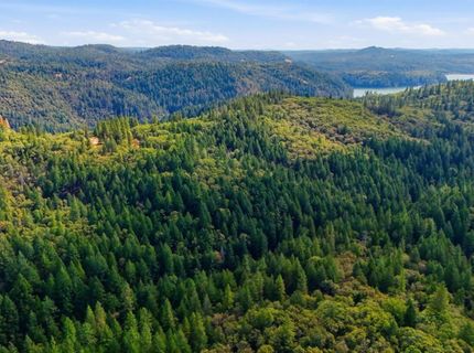 Old Donner Trl, Grass Valley, CA 95945 Photo