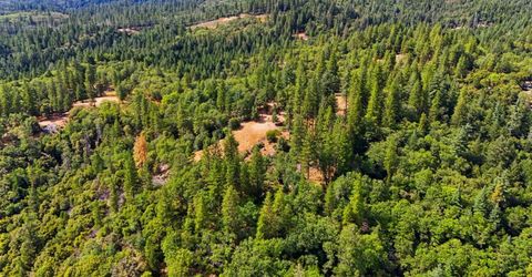 Old Donner Trl, Grass Valley, CA 95945 Photo