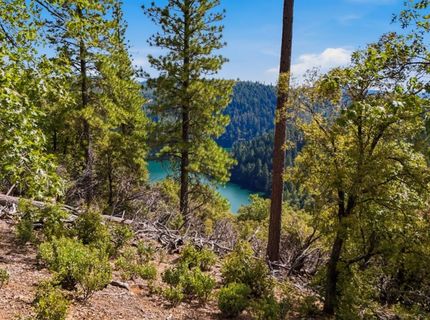 Old Donner Trl, Grass Valley, CA 95945 Photo