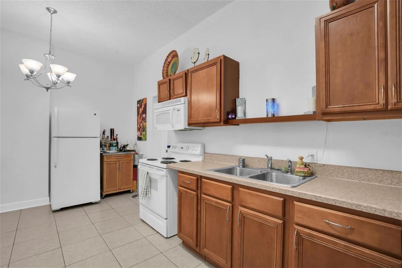 12409 N Boulevard , Tampa, FL 33612 Photo